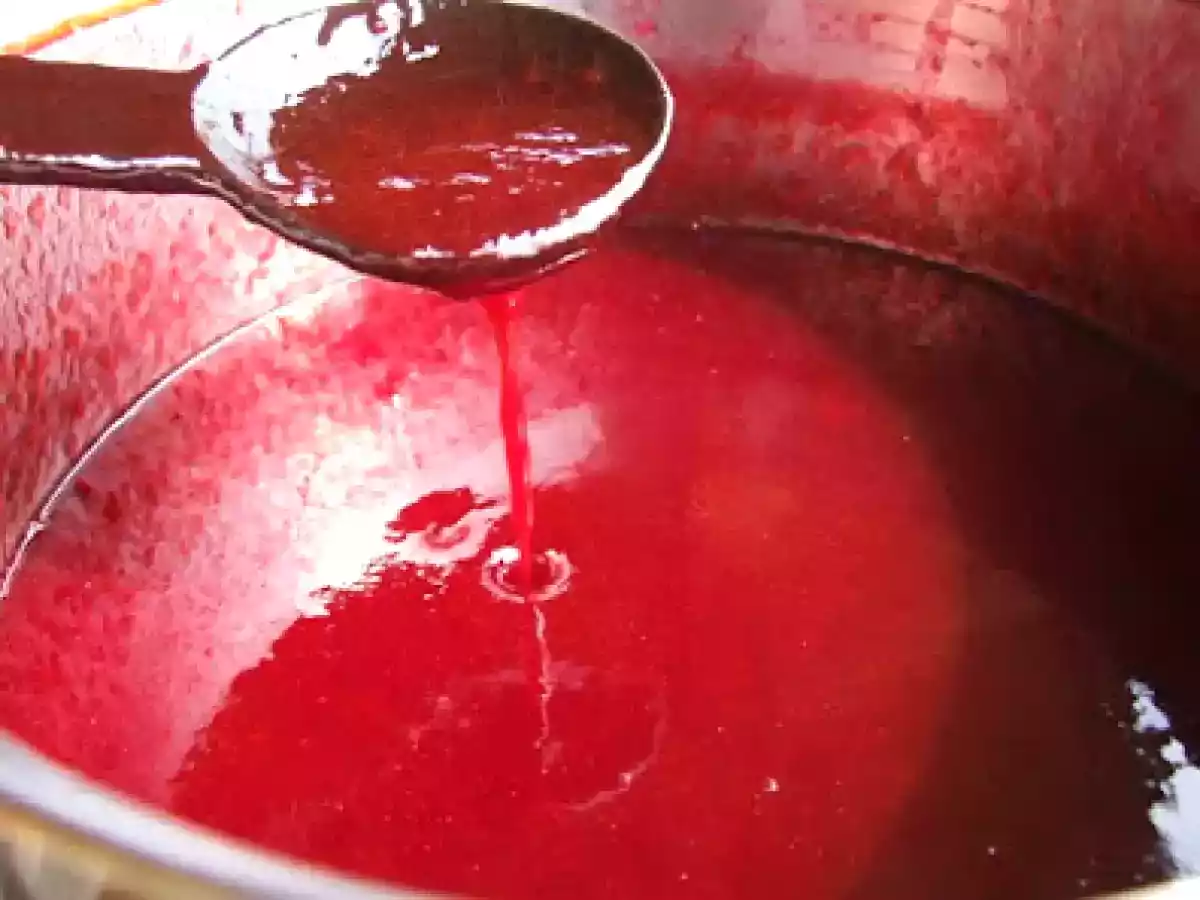 Gem de corcoduse rosii - poza 11