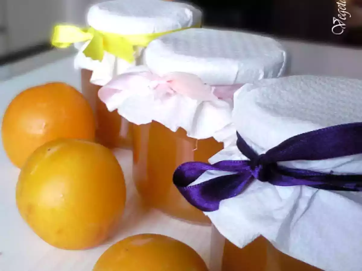 GEM DE PRUNE GALBENE - MERMELADA DE CIRUELAS AMARILLAS