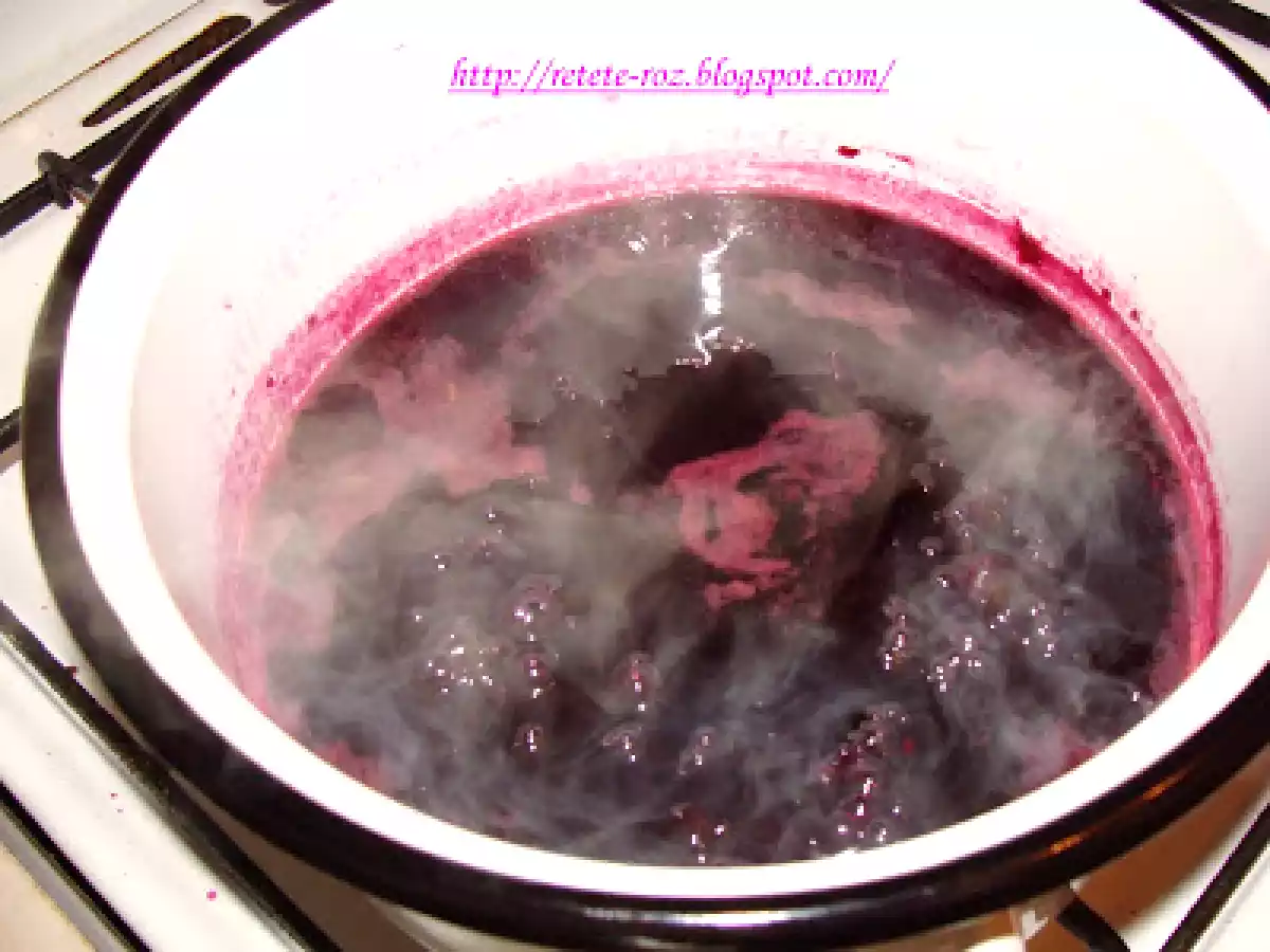 Gem de struguri - poza 4