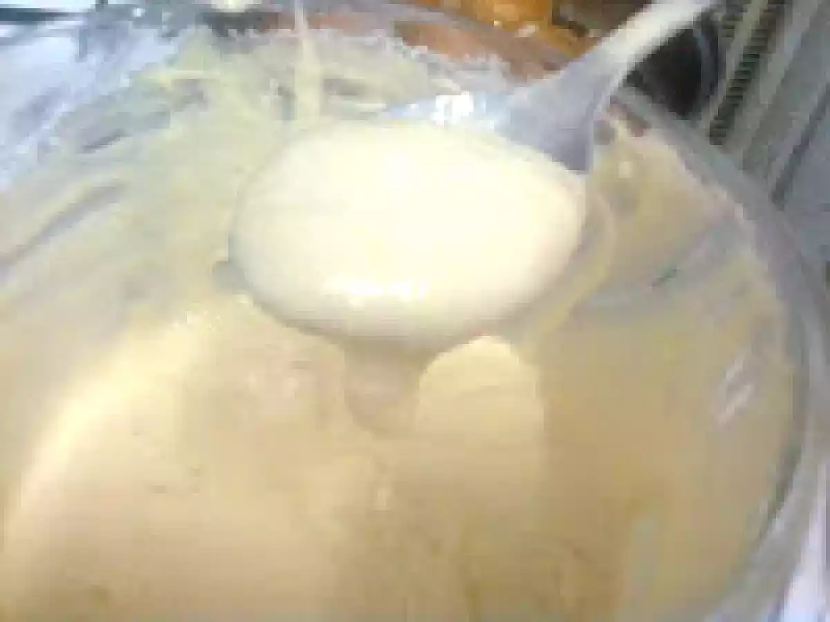 GOGOSI CU IAURT - poza 3