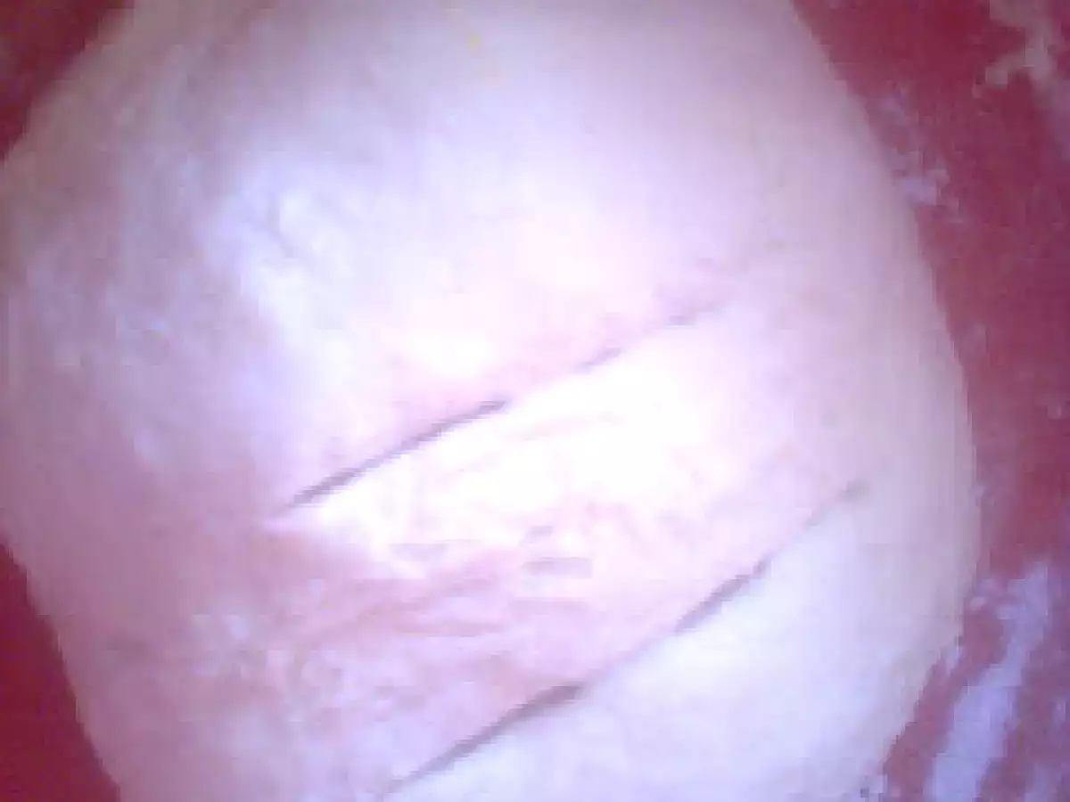 Gogosi inelus - poza 4