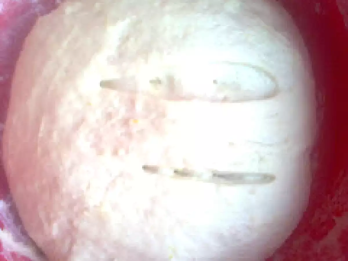 Gogosi inelus - poza 5