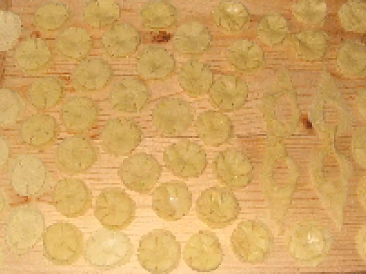 Gogosi trandafir - poza 3