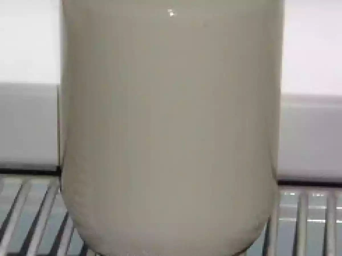 Iaurt facut in casa - poza 2