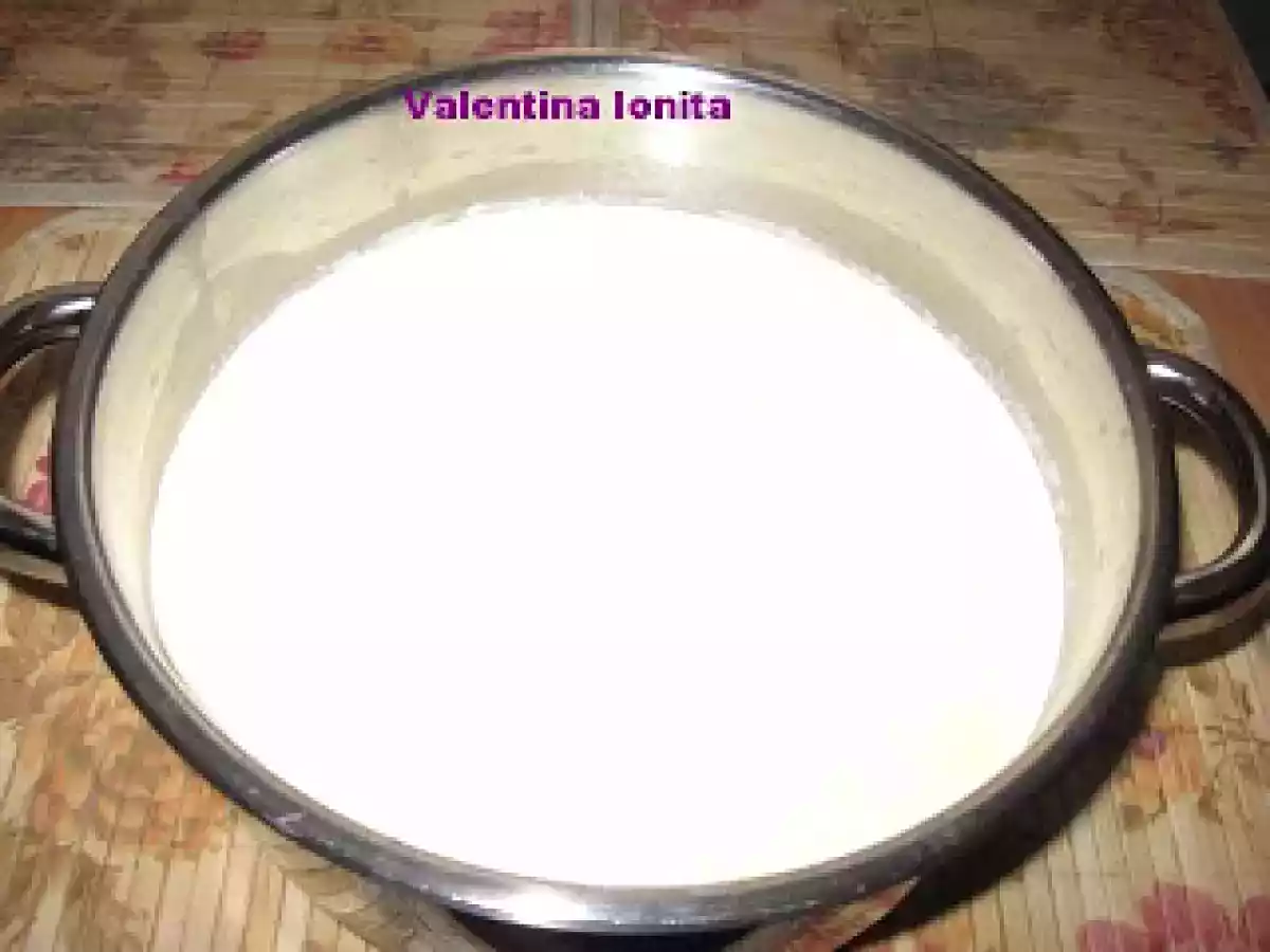 IAURT PREPARAT IN CASA