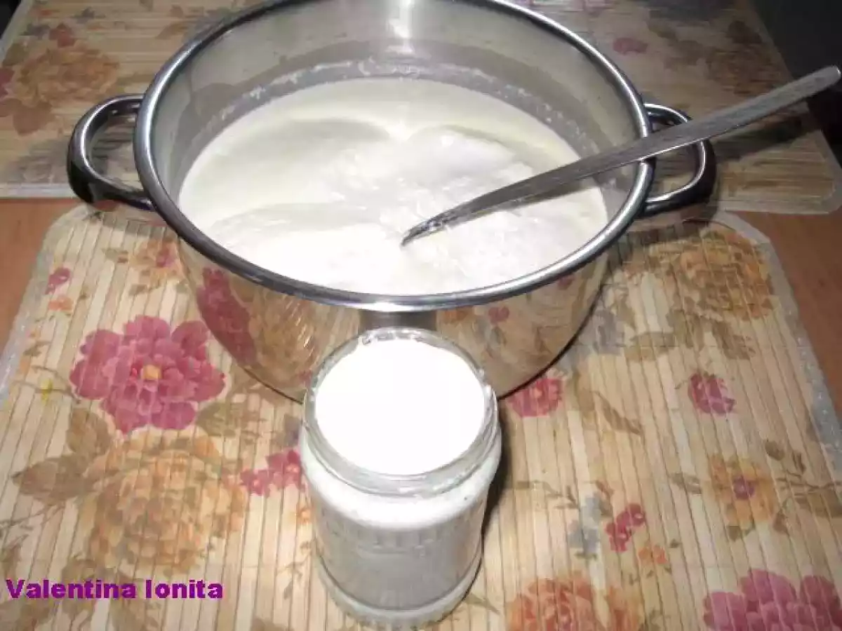 IAURT PREPARAT IN CASA - poza 2