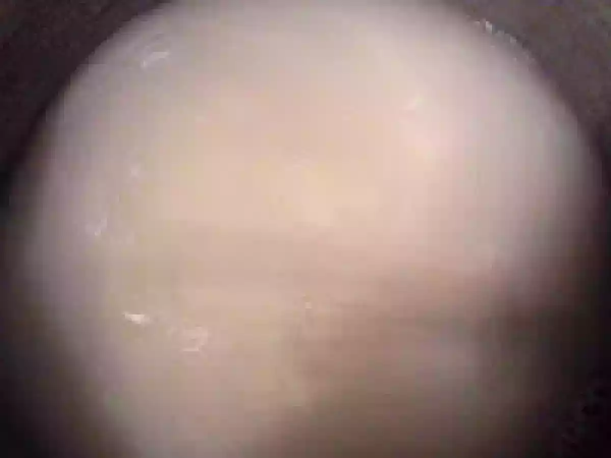 ICRE FALSE DE POST / HUEVAS DE PESCADO FALSOS - poza 3