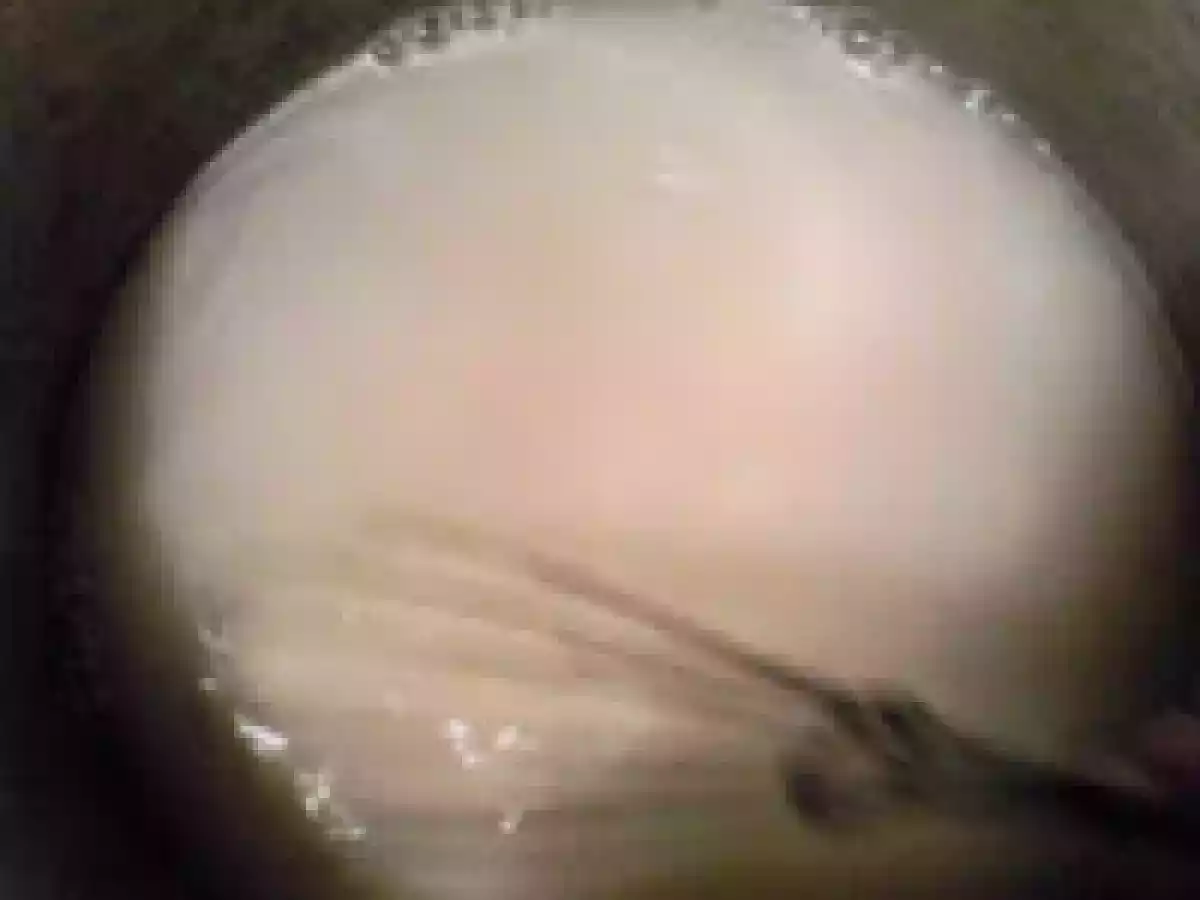 ICRE FALSE DE POST / HUEVAS DE PESCADO FALSOS - poza 4