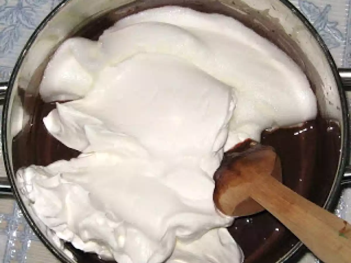 Inghetata de cacao - poza 6