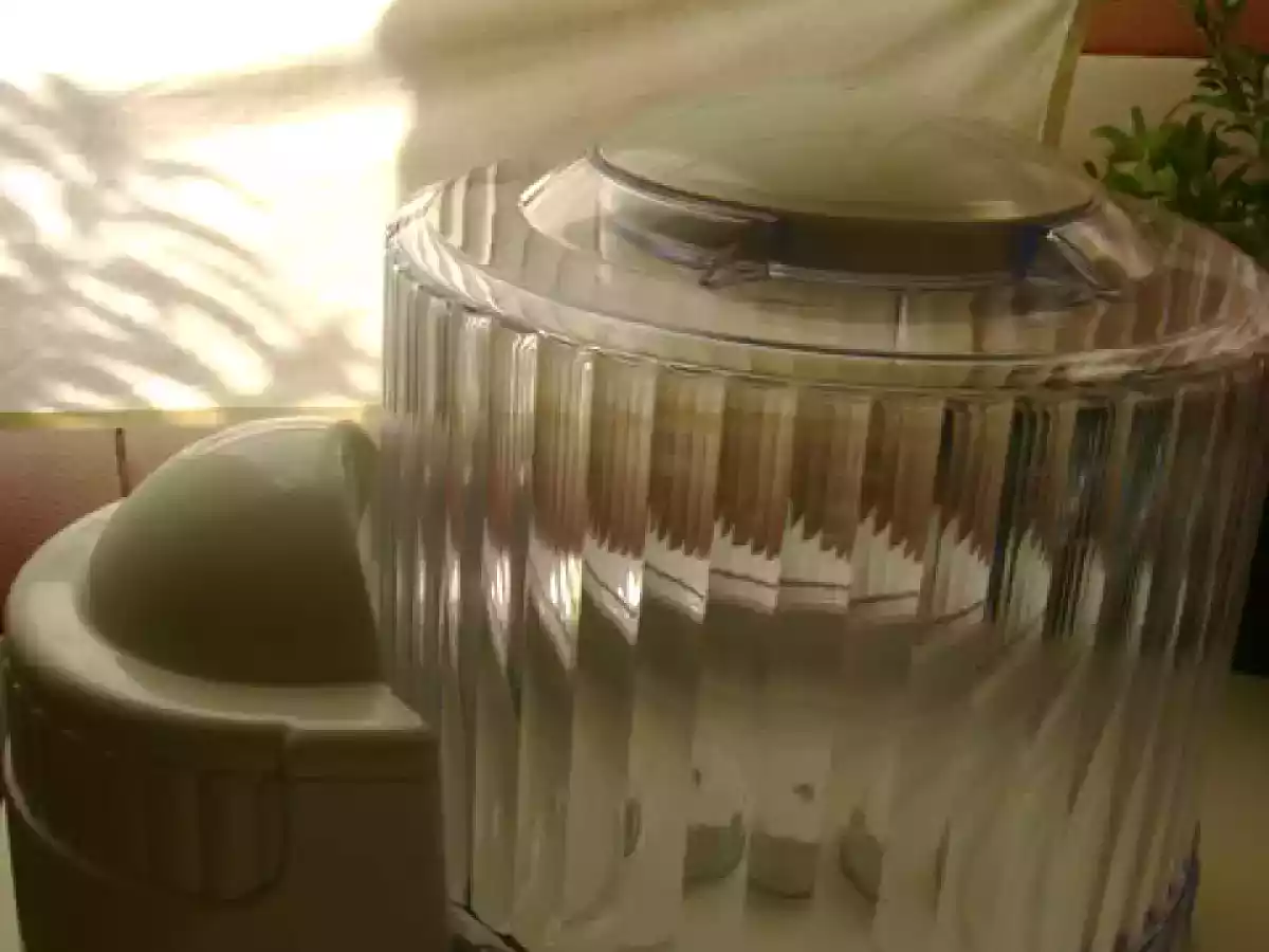 Înghetata de ciocolata alba si sos de capsuni