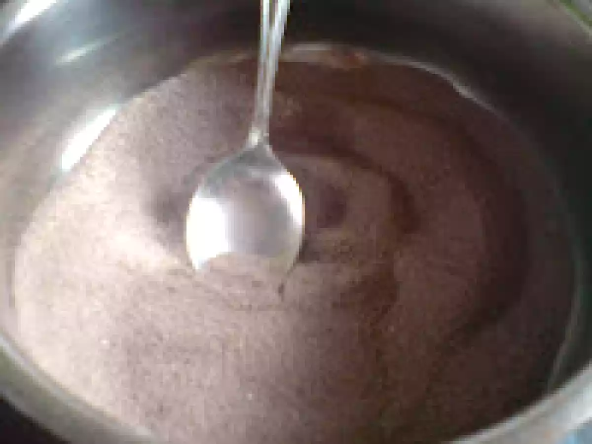 Inghetata mea de cacao - poza 2