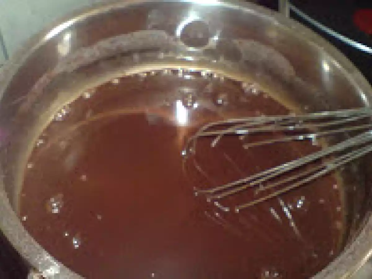 Inghetata mea de cacao - poza 3