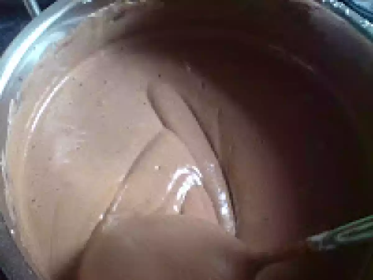 Inghetata mea de cacao - poza 8