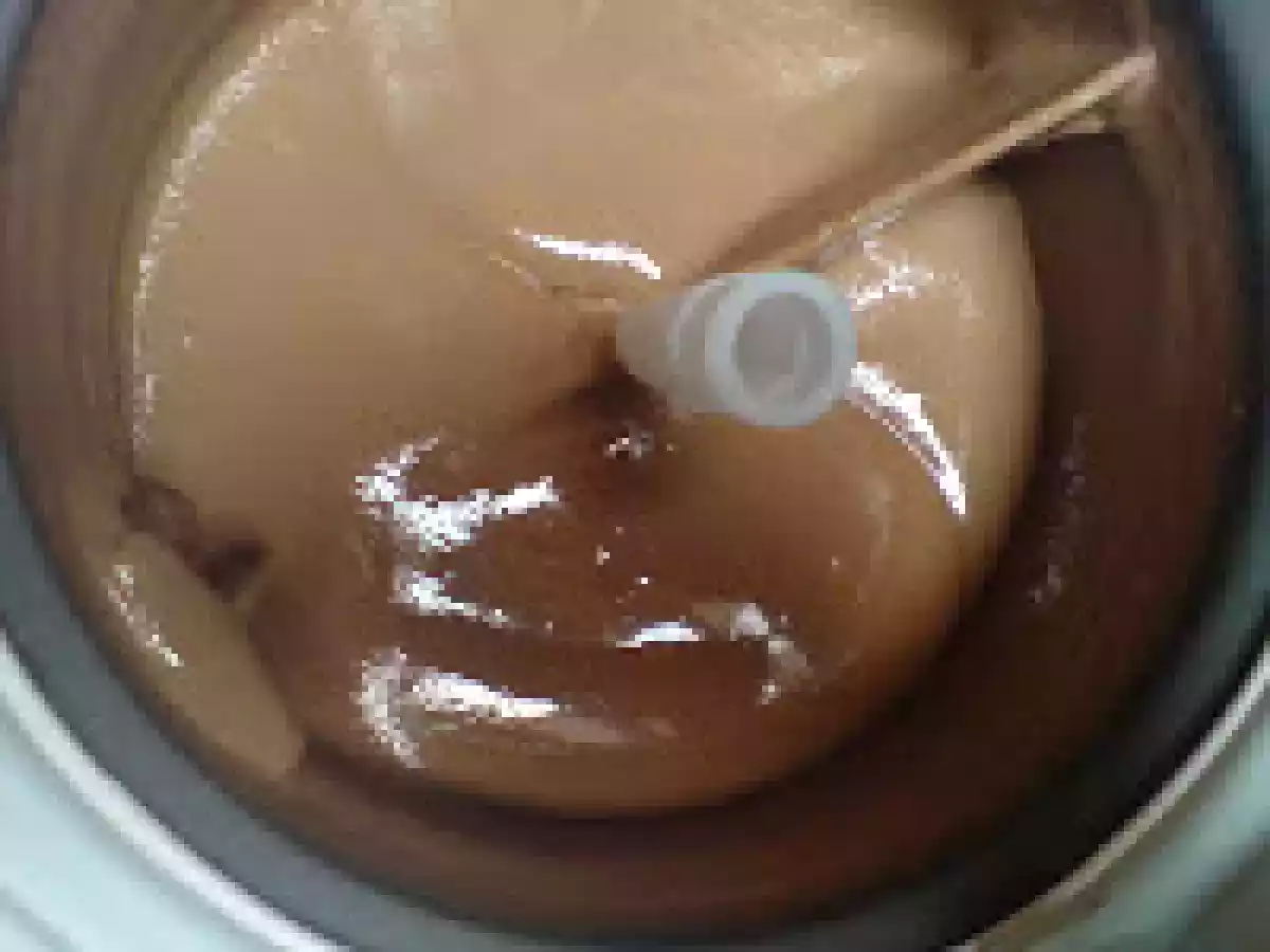 Inghetata mea de cacao - poza 9