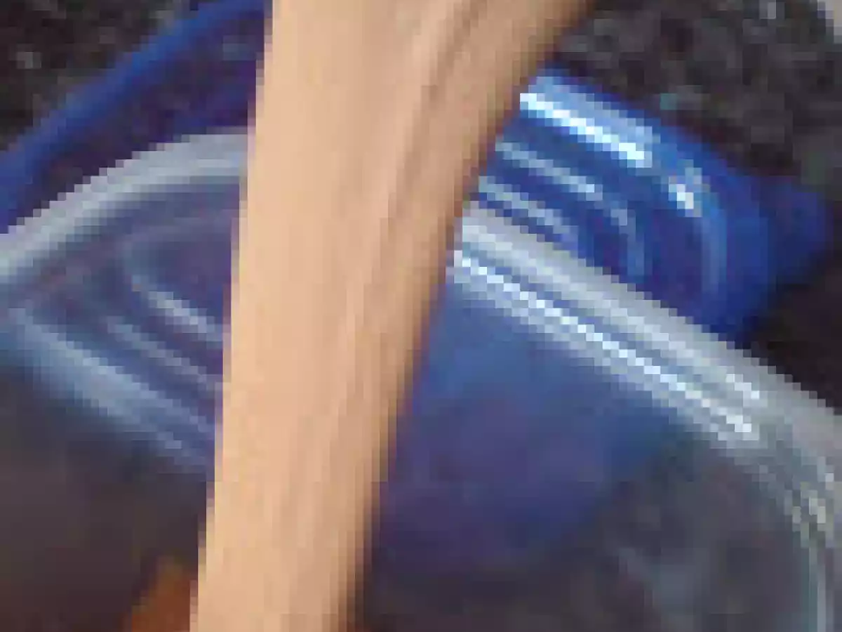 Inghetata mea de cacao - poza 10