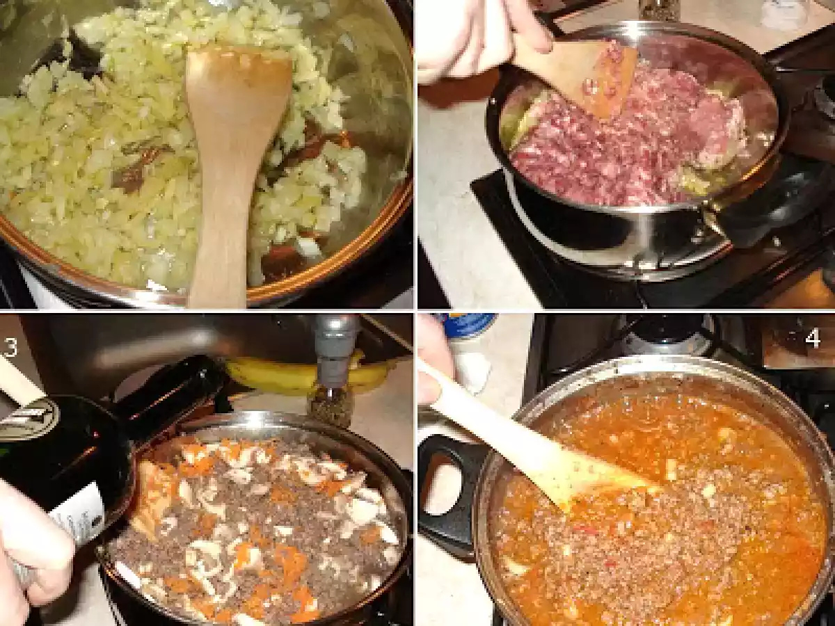 Lasagna alla Bolognese - poza 6