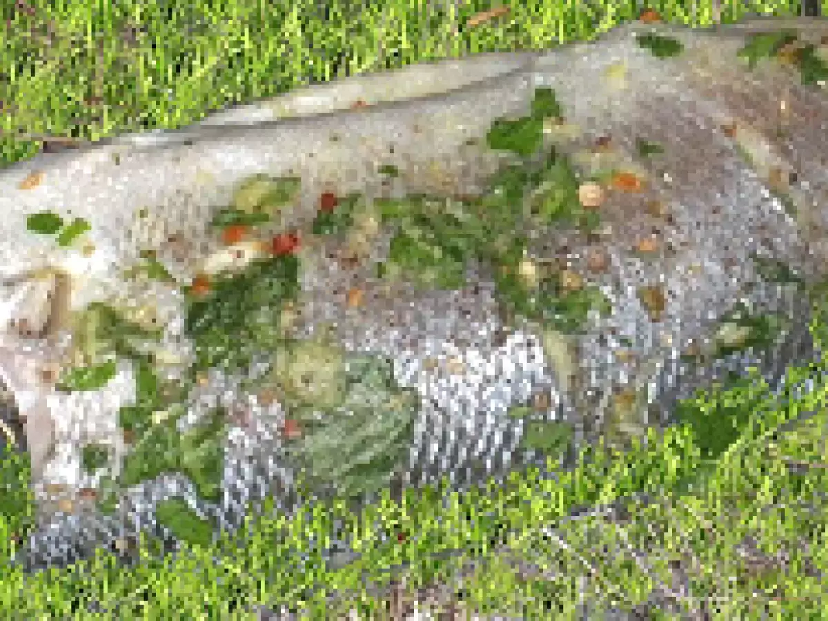 LAVRAKI(BASS) LA CUPTOR - poza 5