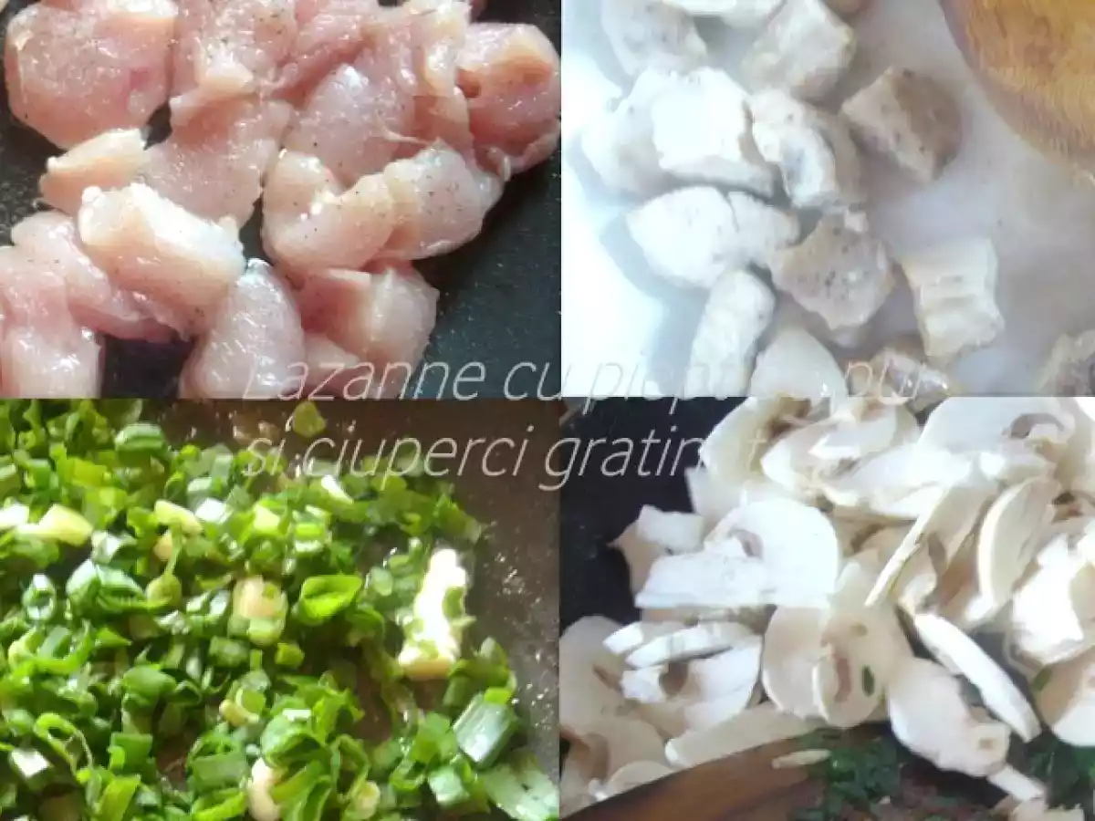 Lazanne cu piept de pui si ciuperci gratinat - poza 4