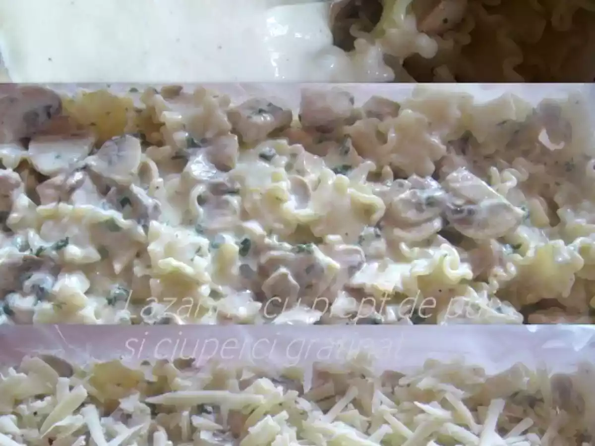 Lazanne cu piept de pui si ciuperci gratinat - poza 6
