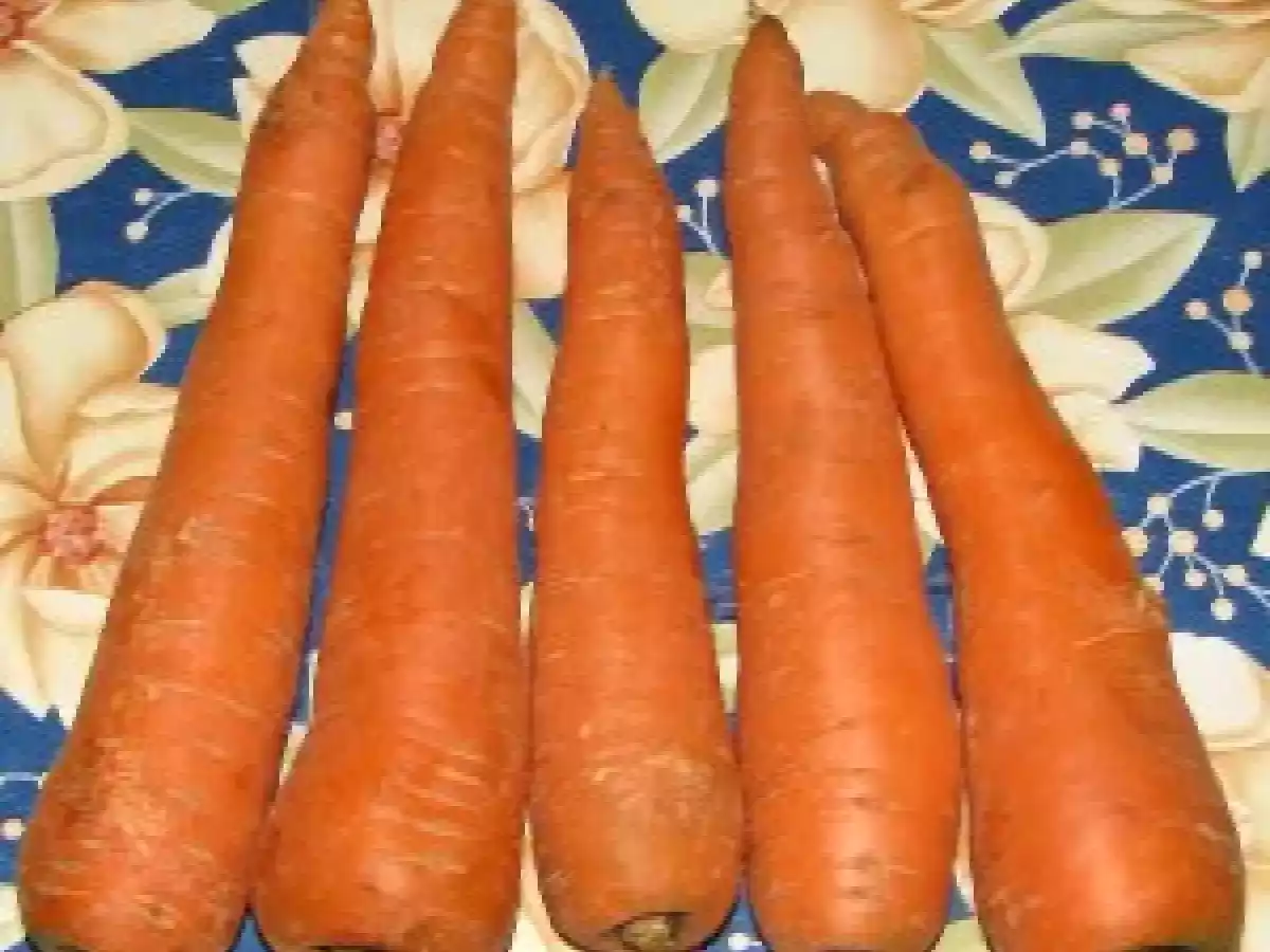 Legume la Vasul Roman - poza 3