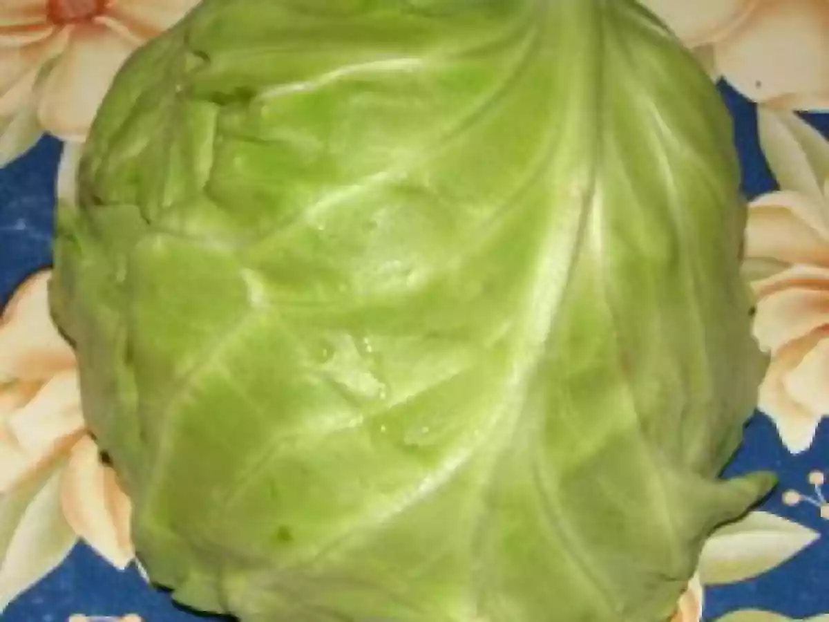 Legume la Vasul Roman - poza 4