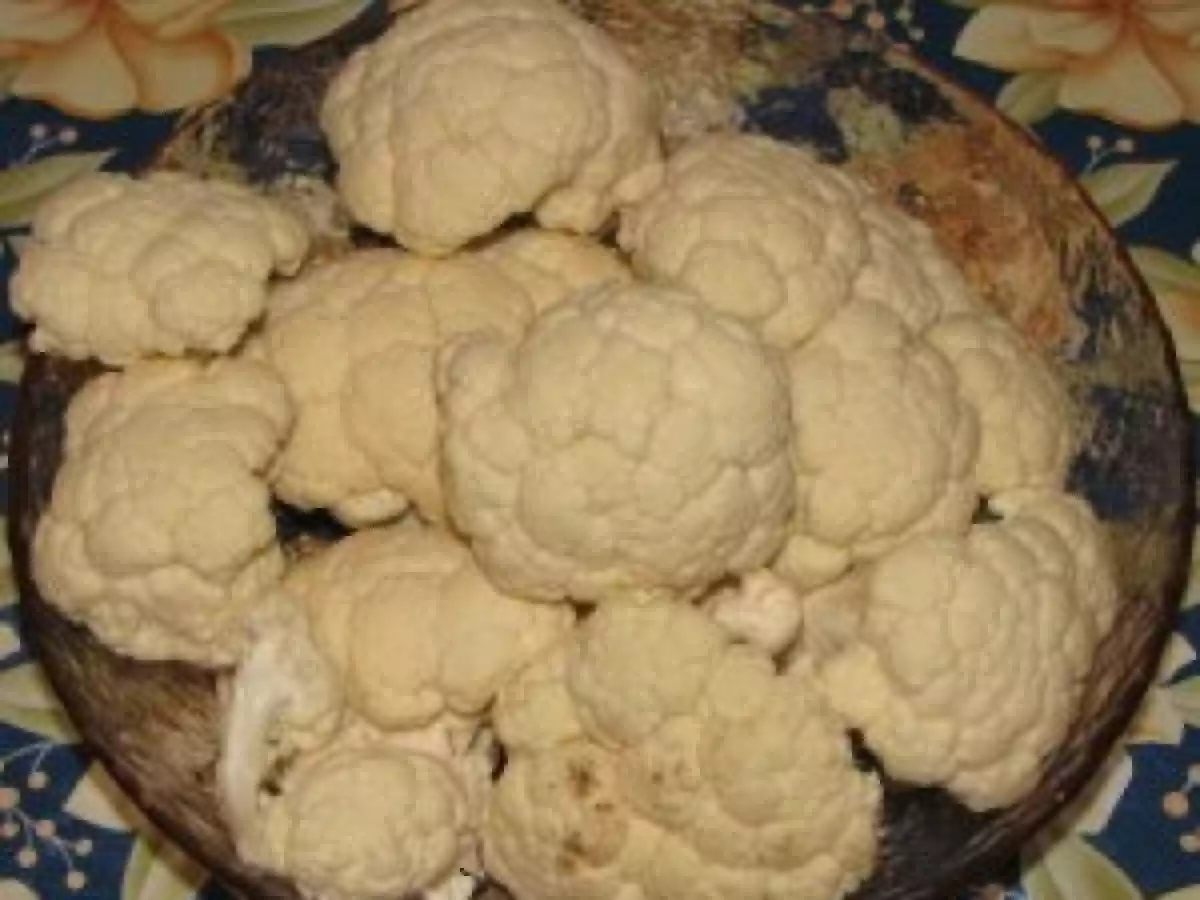 Legume la Vasul Roman - poza 5