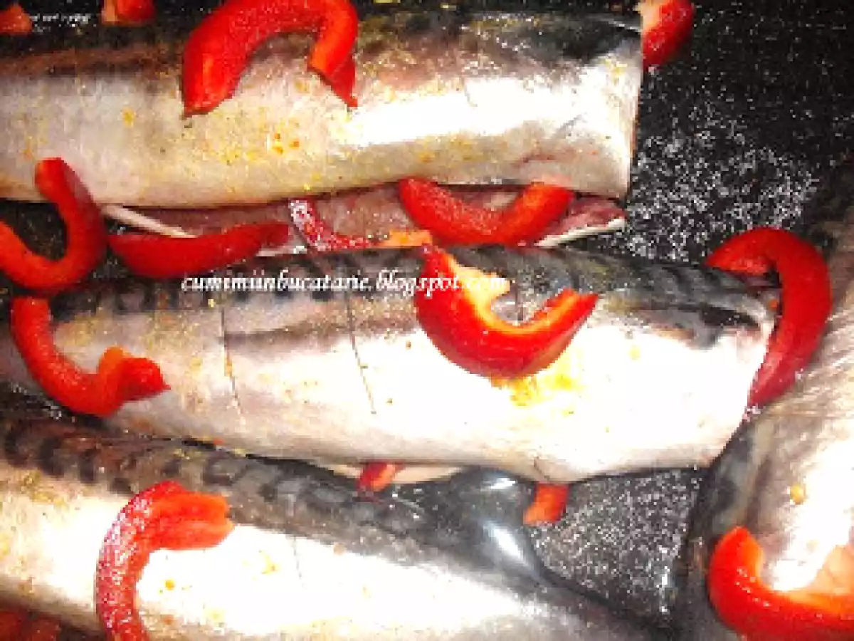 MACROU LA CUPTOR CU ROSII SI USTUROI - poza 3