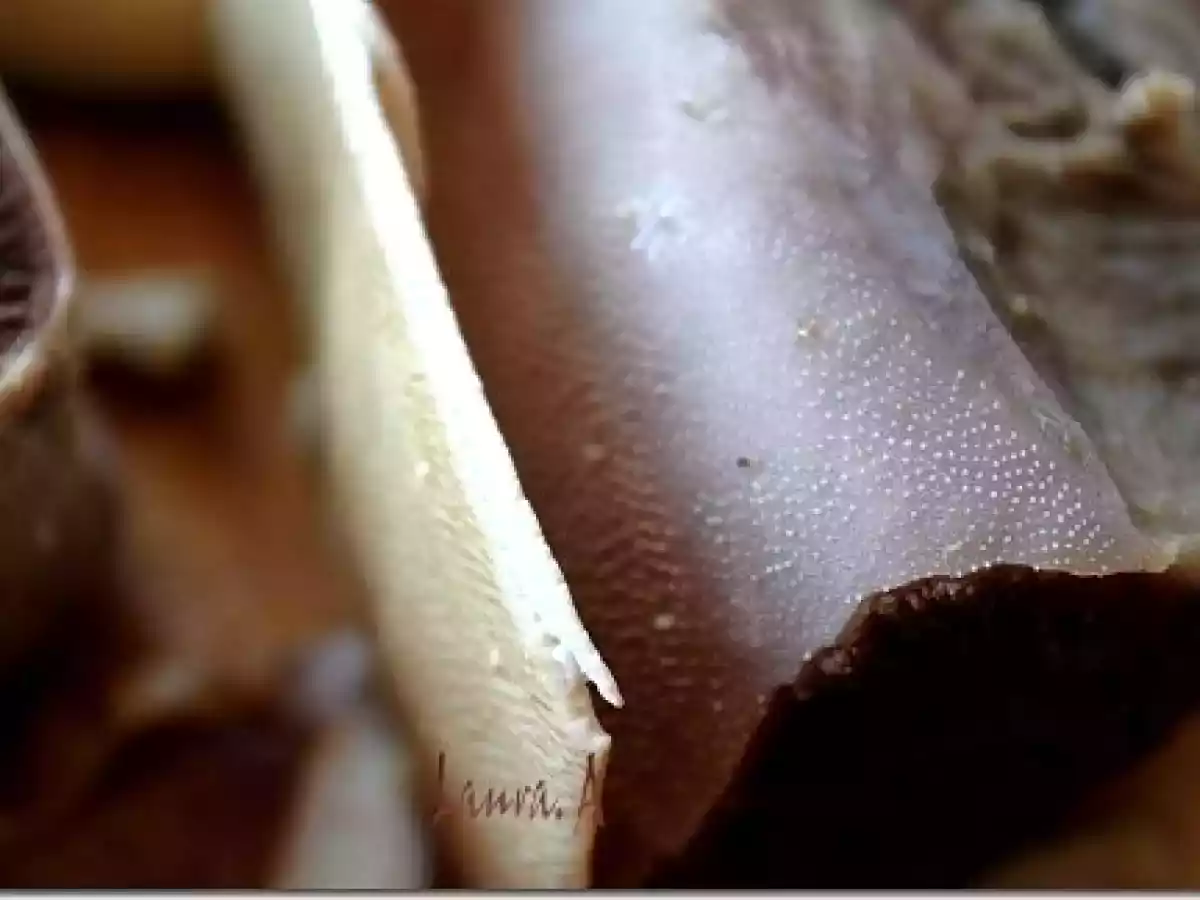 Mancare de limba cu masline - poza 2