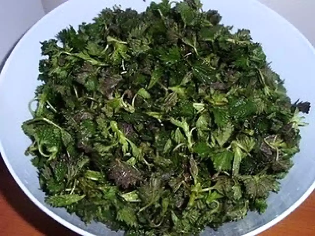 MANCARICA DE URZICI - poza 3