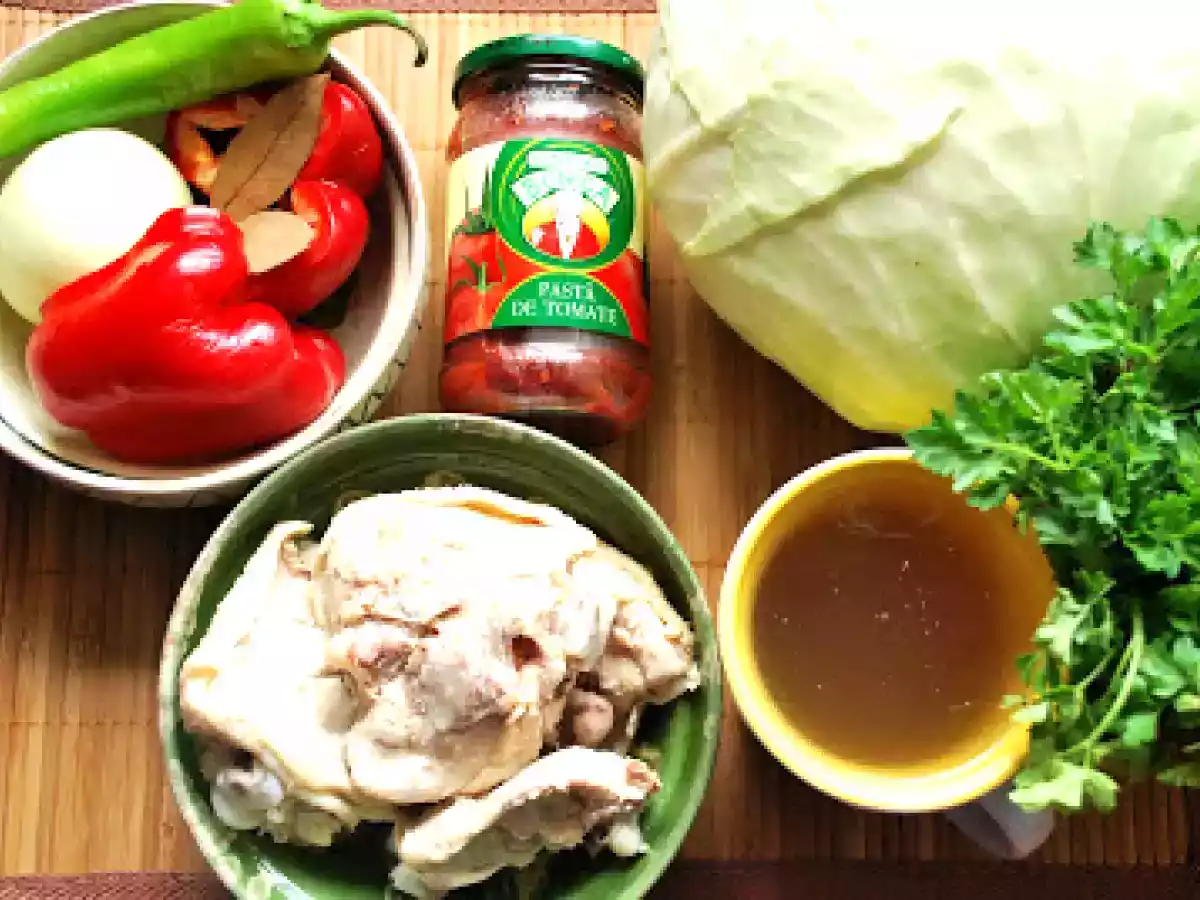 Mancarica de varza cu pui - poza 3