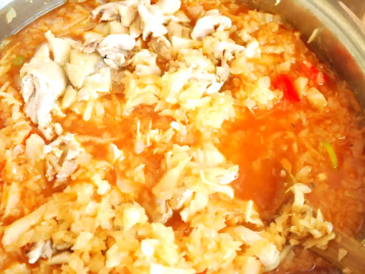 Mancarica de varza cu pui - poza 11