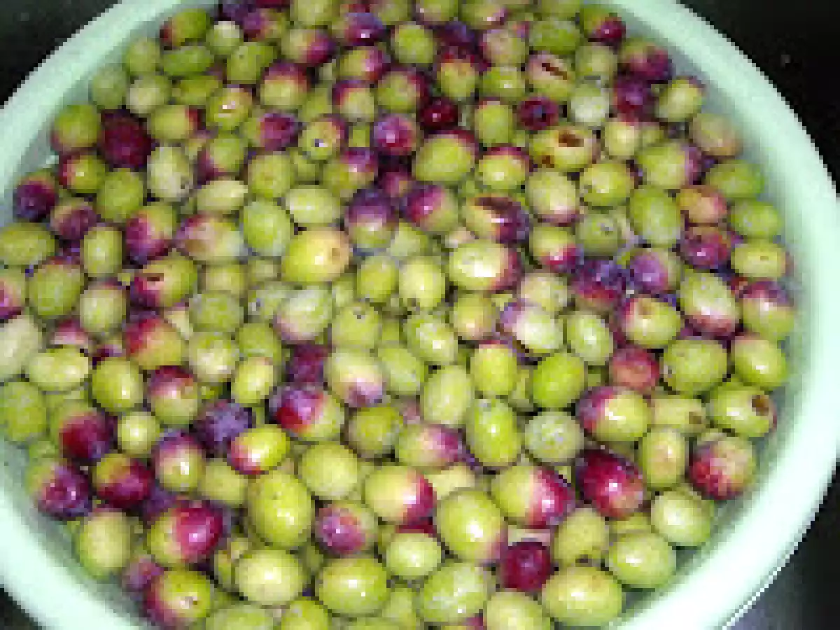 Masline conservate/Olive a lunga conservazione - poza 4