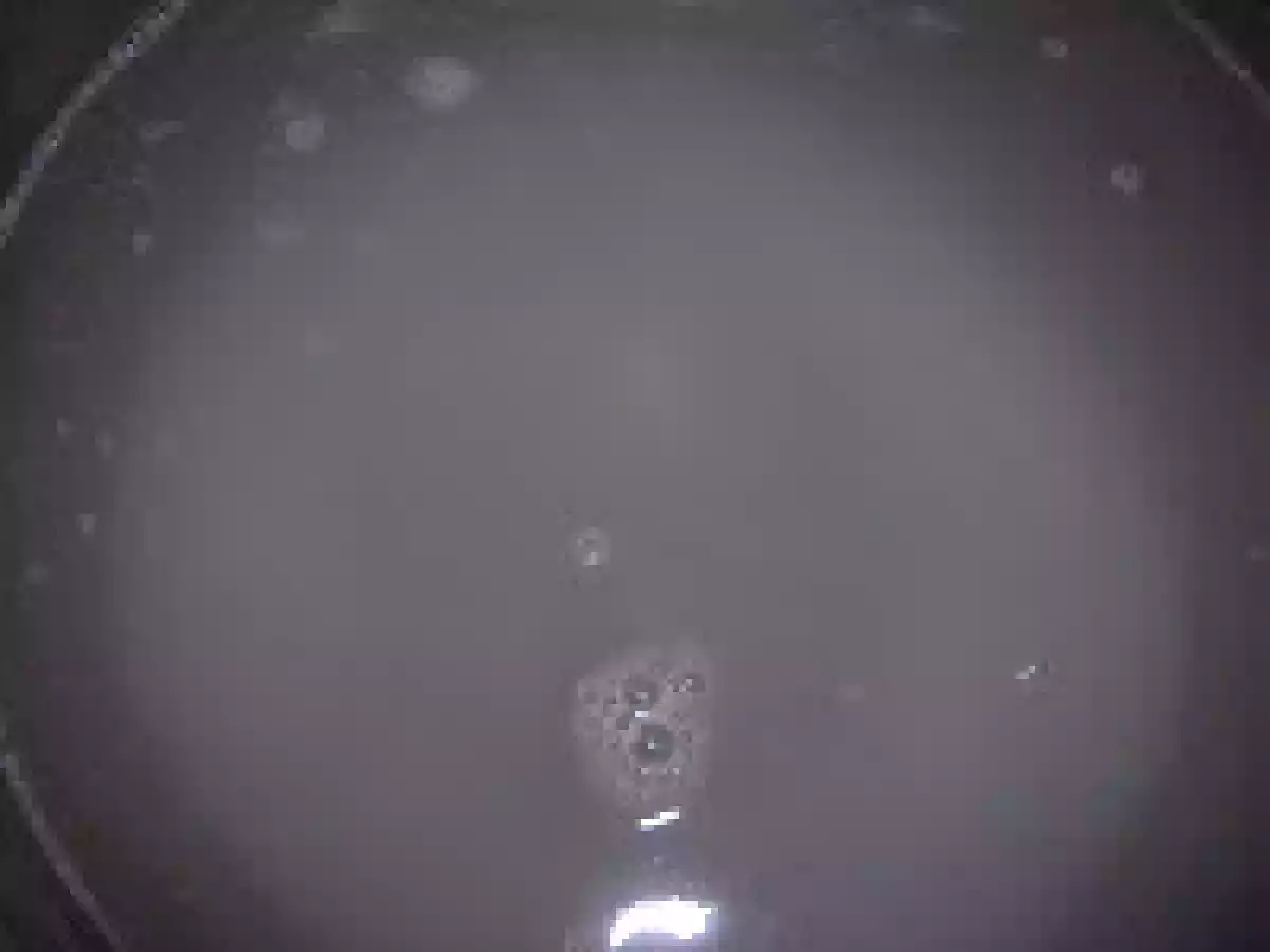 Masline conservate/Olive a lunga conservazione - poza 7