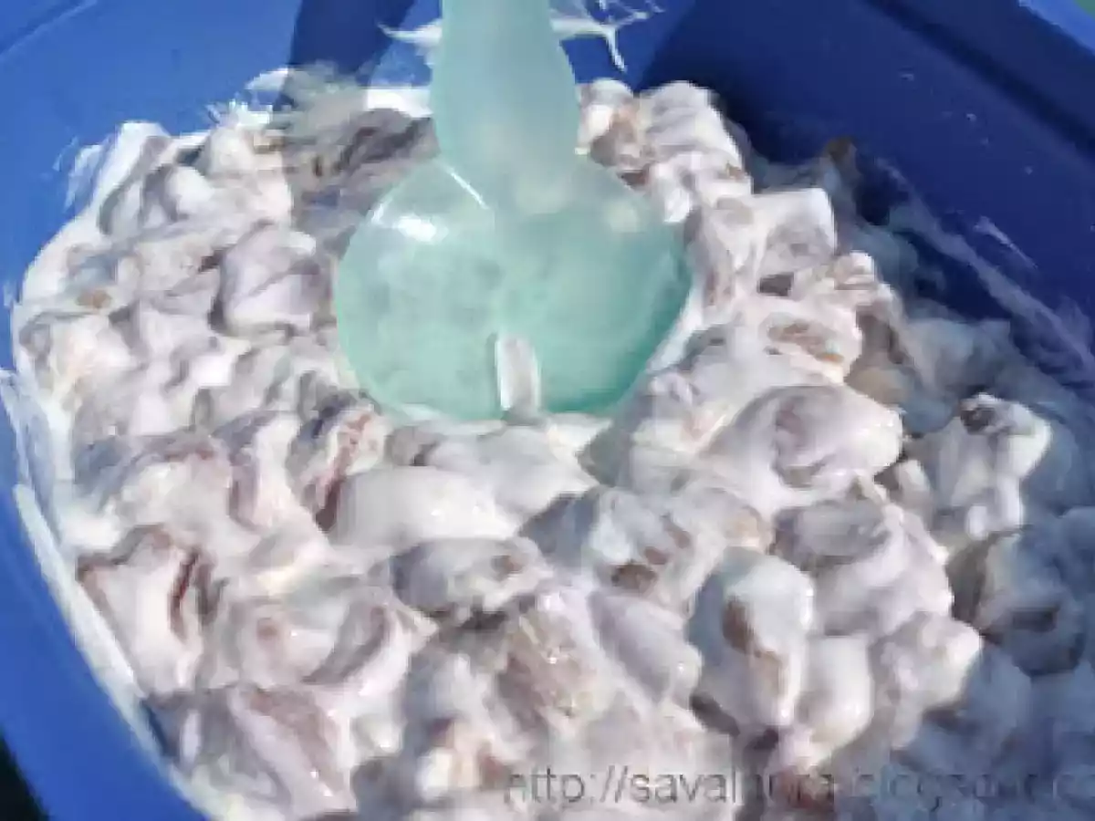 Miel cu sos de iaurt - poza 3