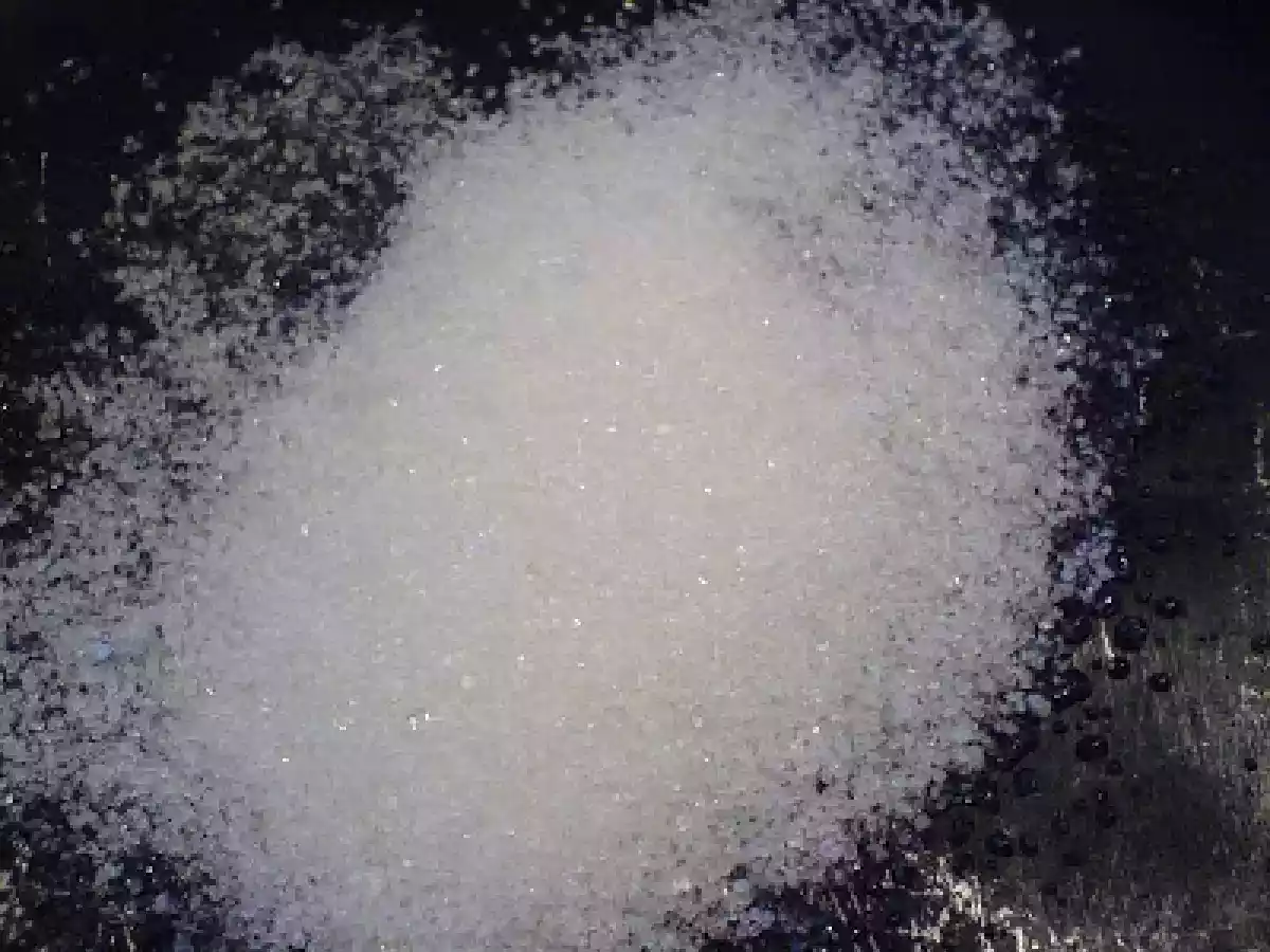 MINI TARTE TATIN CU MERE SI GUTUI - poza 2