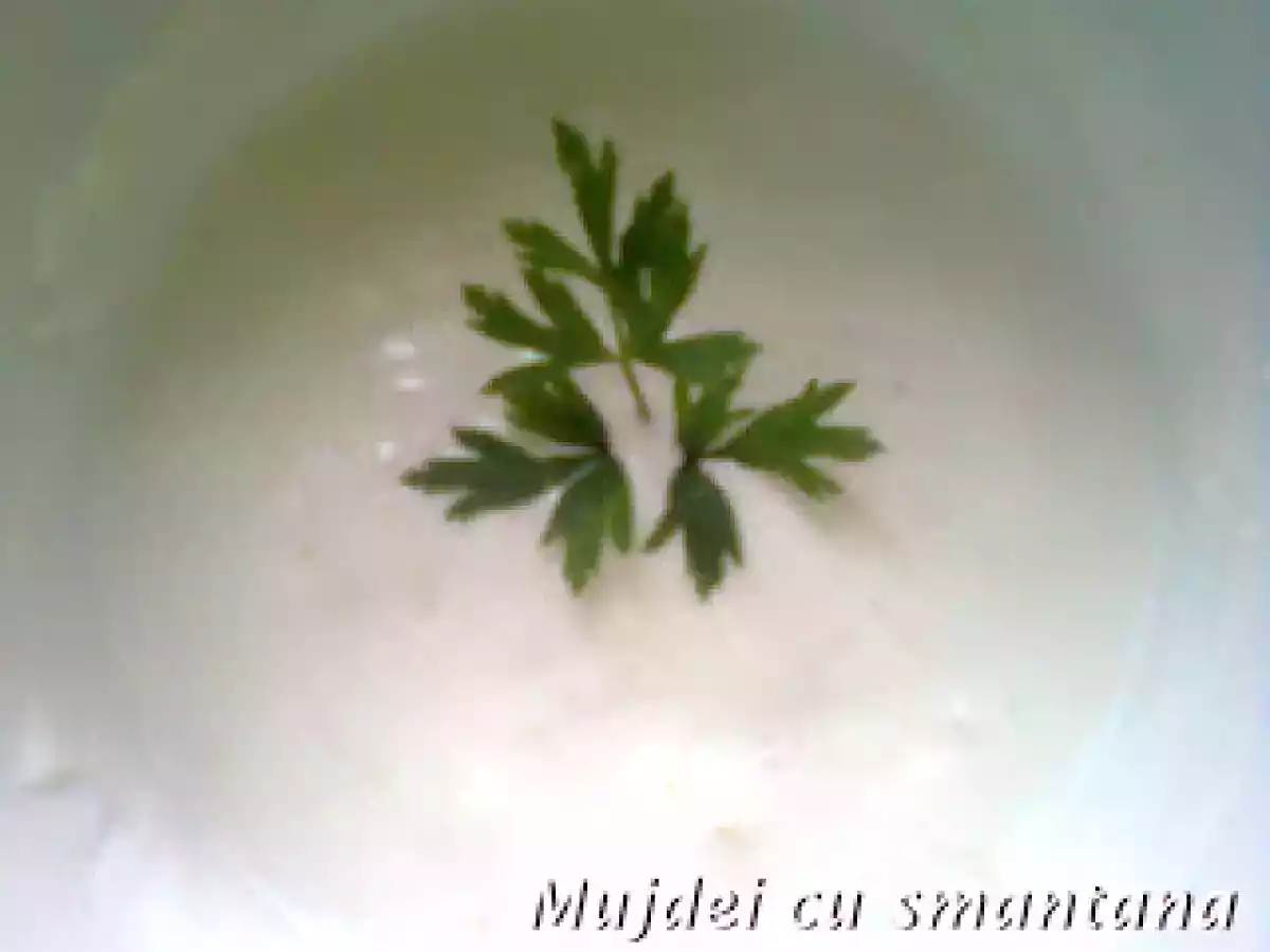 Mujdei cu smantana - poza 3