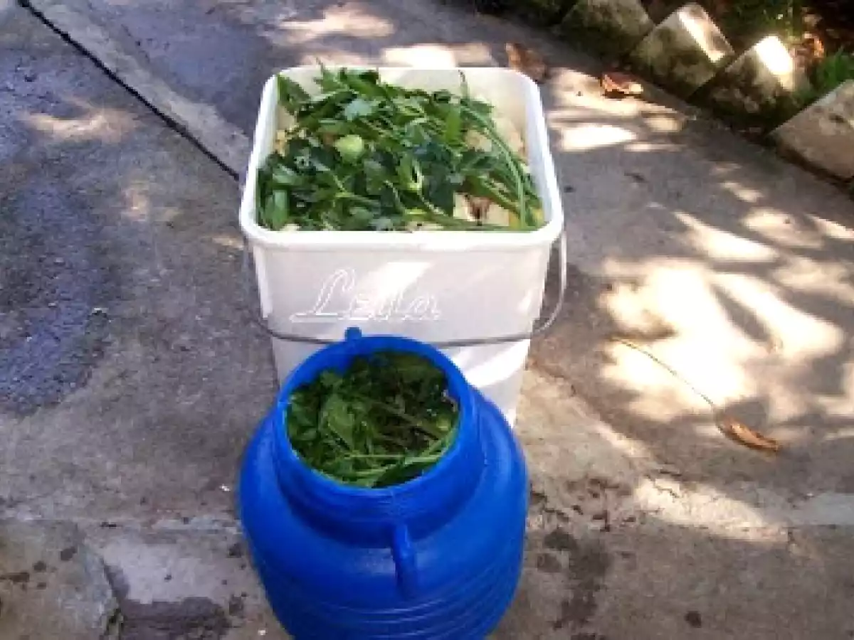 Muraturi asortate in saramura - poza 6