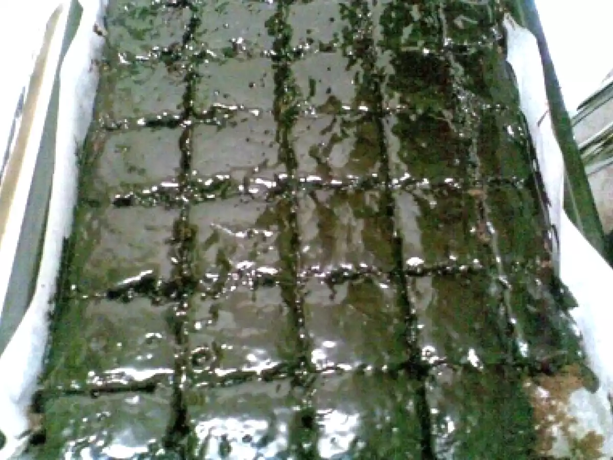 Negresa cu glazura de ciocolata - poza 11