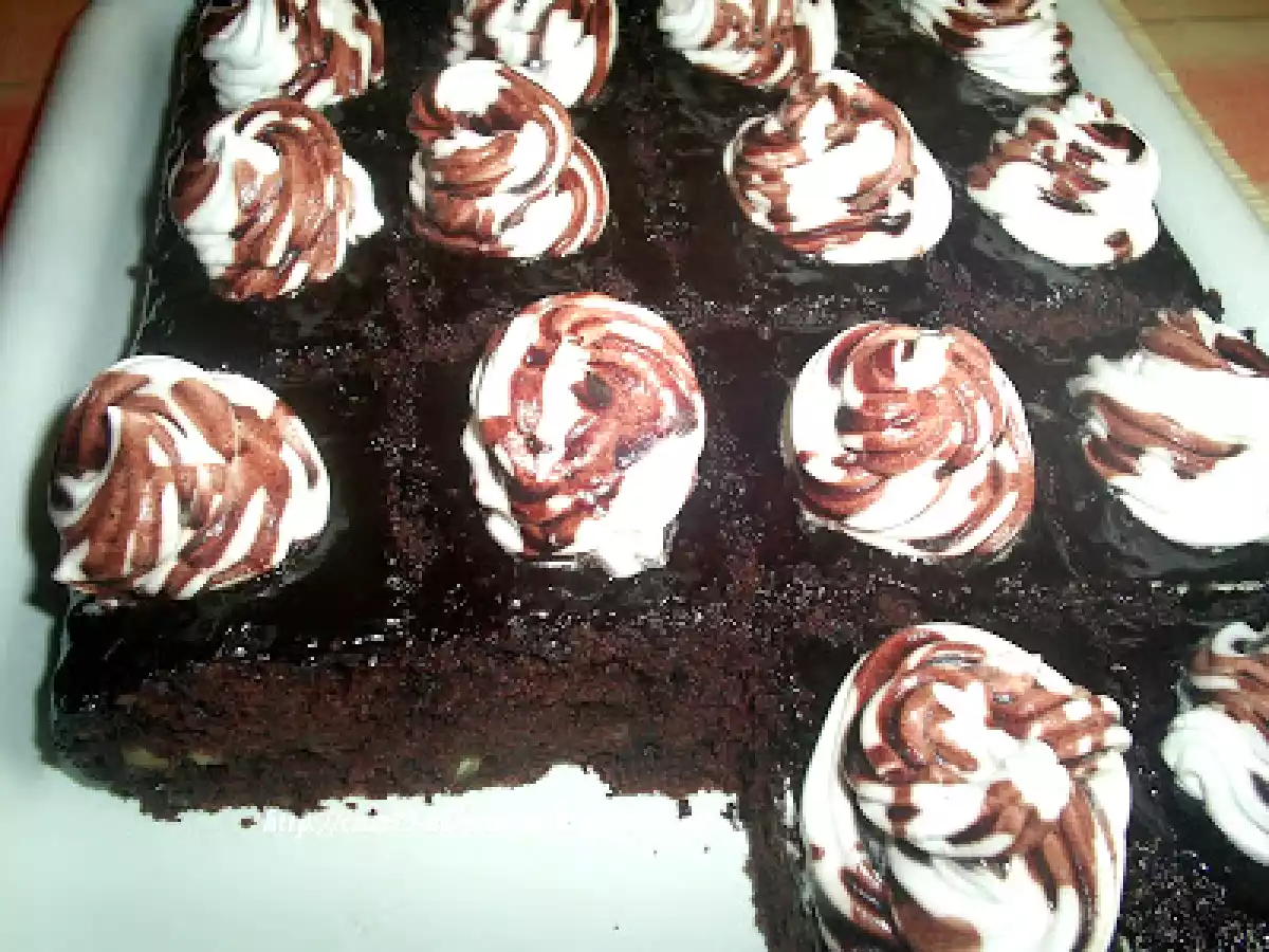 Negresa insiropata - poza 3