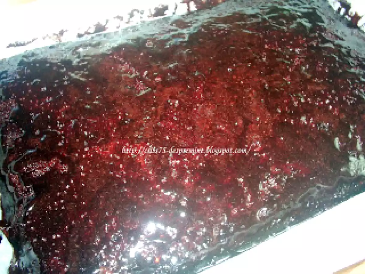 Negresa insiropata - poza 7