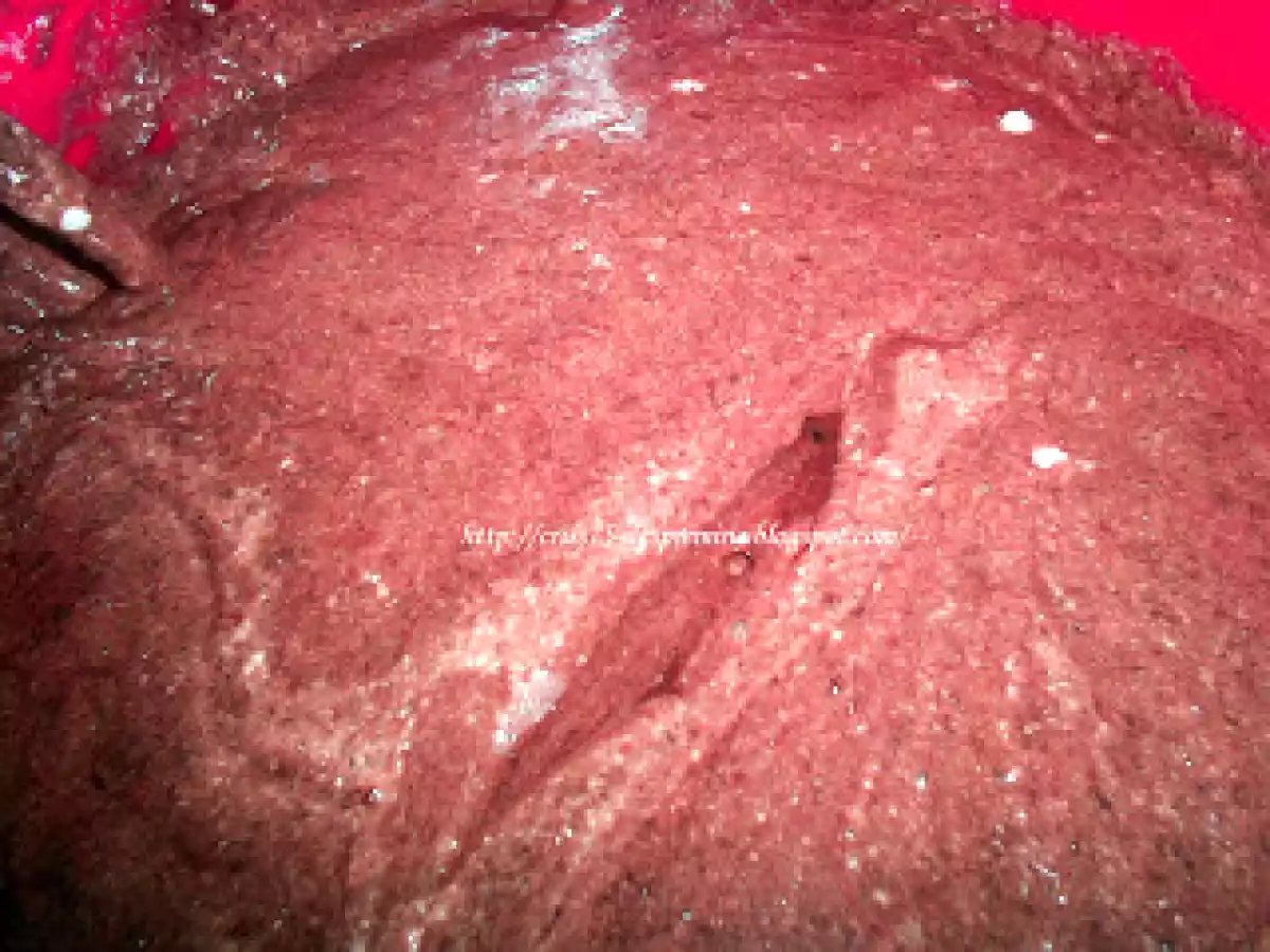 Negresa insiropata - poza 10