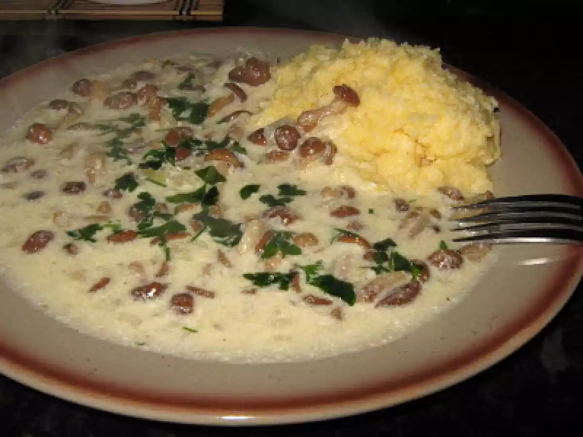 Opintici cu smantana si mamaliga - poza 2