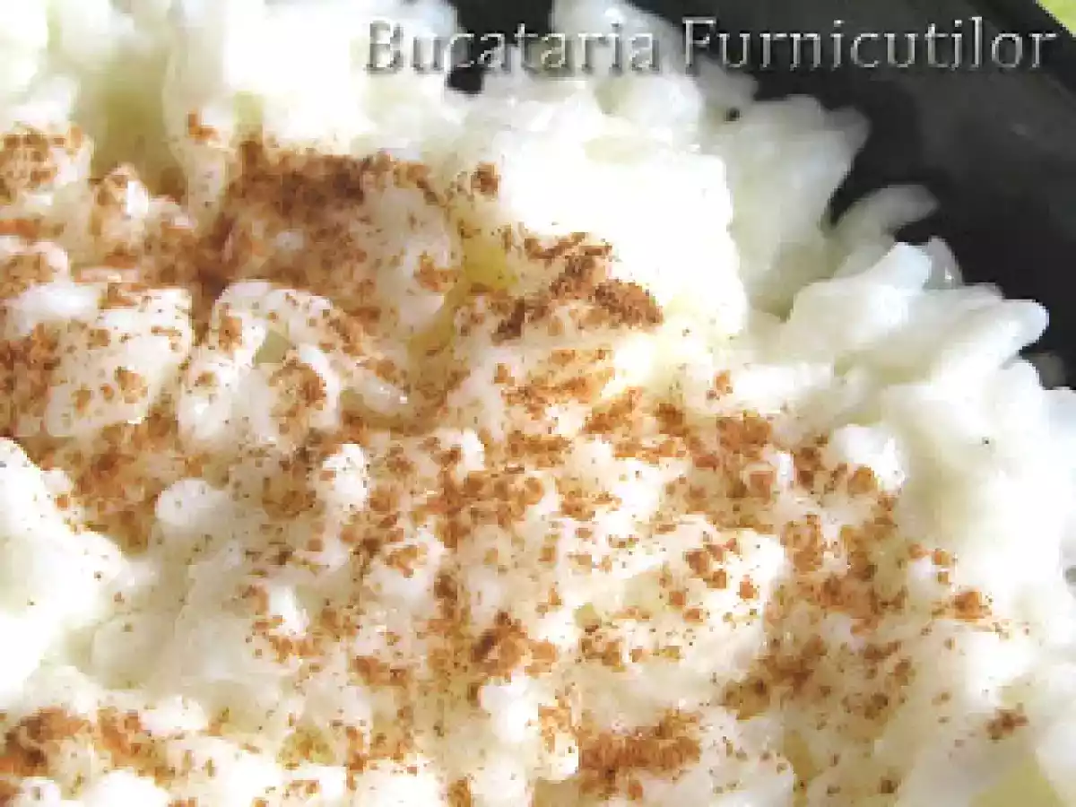 Orez cu Lapte - poza 2