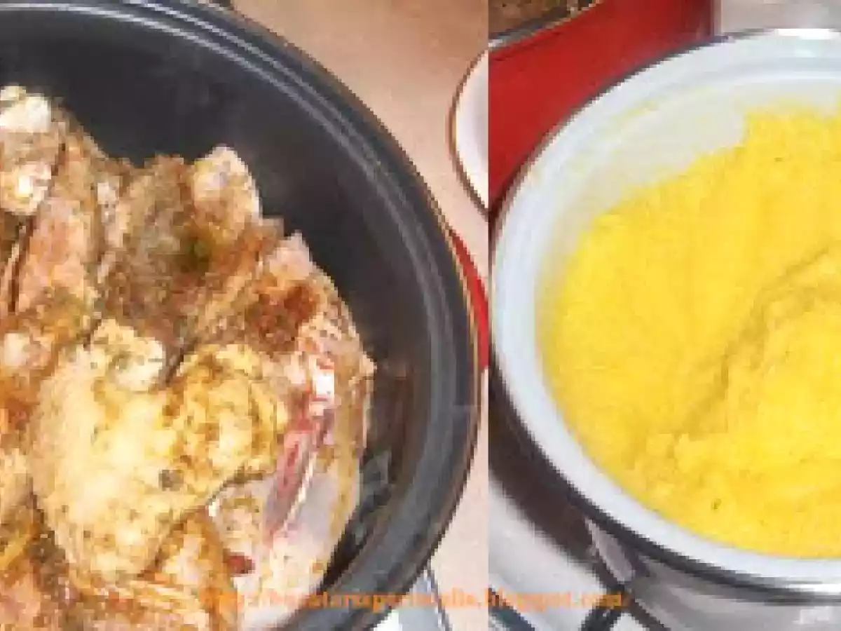 Ostropel de pui - poza 3