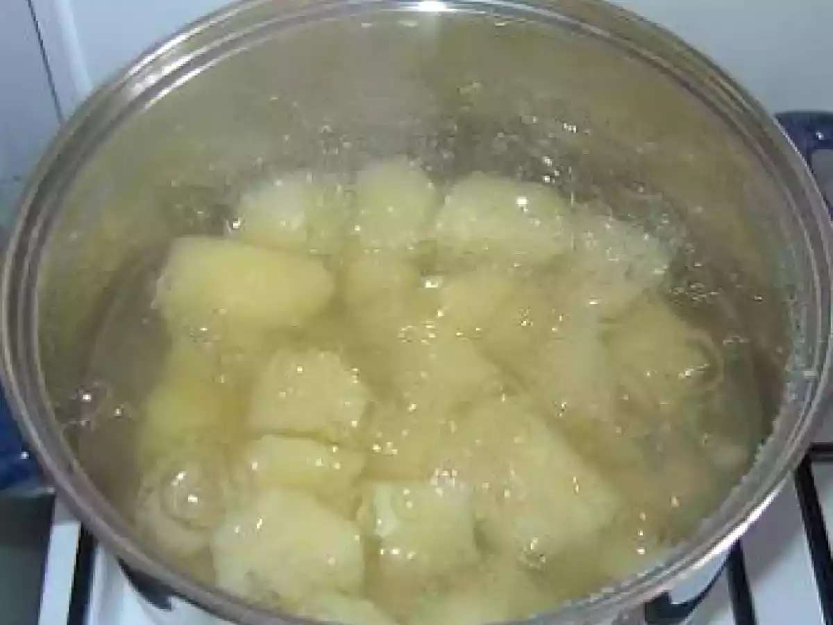 Ostropel de Pui cu Piure de Cartofi - poza 3