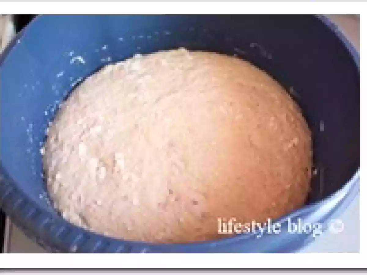 Paine artizanala rapida / Quick artisan bread - poza 3