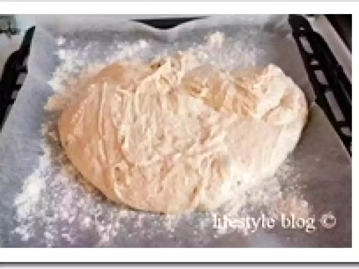 Paine artizanala rapida / Quick artisan bread - poza 4