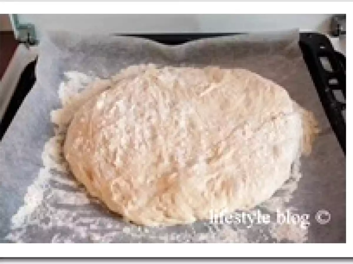 Paine artizanala rapida / Quick artisan bread - poza 5