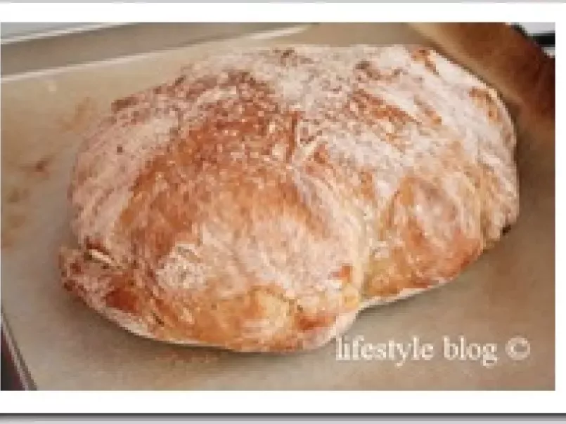 Paine artizanala rapida / Quick artisan bread, poza 6