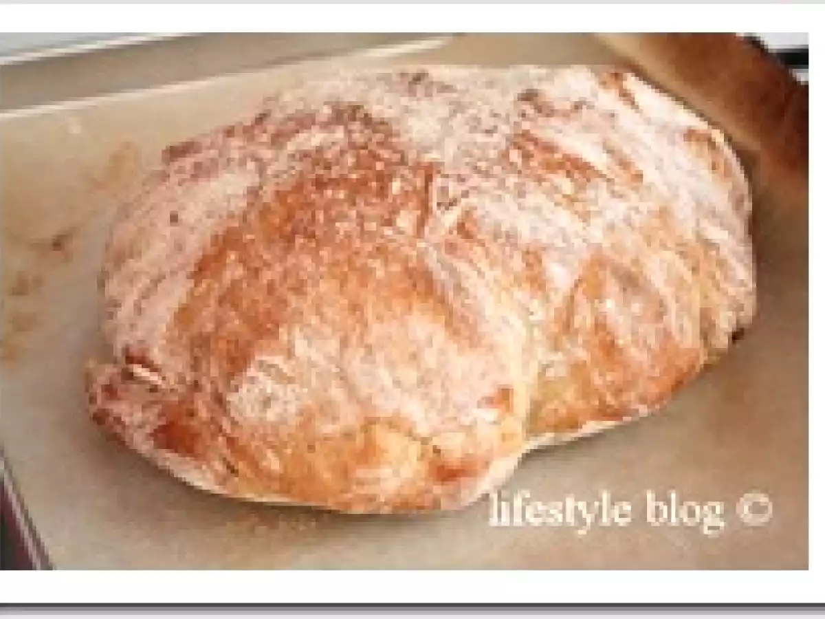 Paine artizanala rapida / Quick artisan bread - poza 6